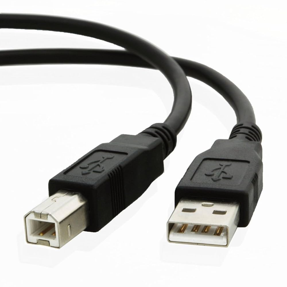 CA-PRIN-10M