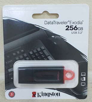 FLASH-KINGSTON-EX256